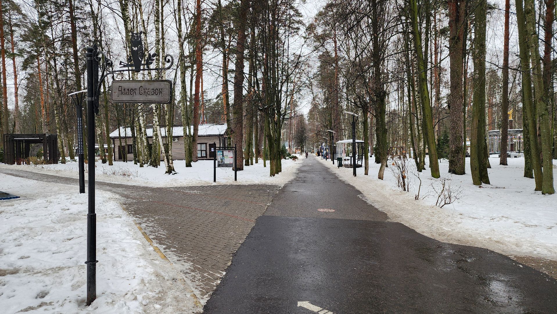 парки Богородского округа, новогодние каникулы, Центральный парк, Ногинск, Богородский городской округ,