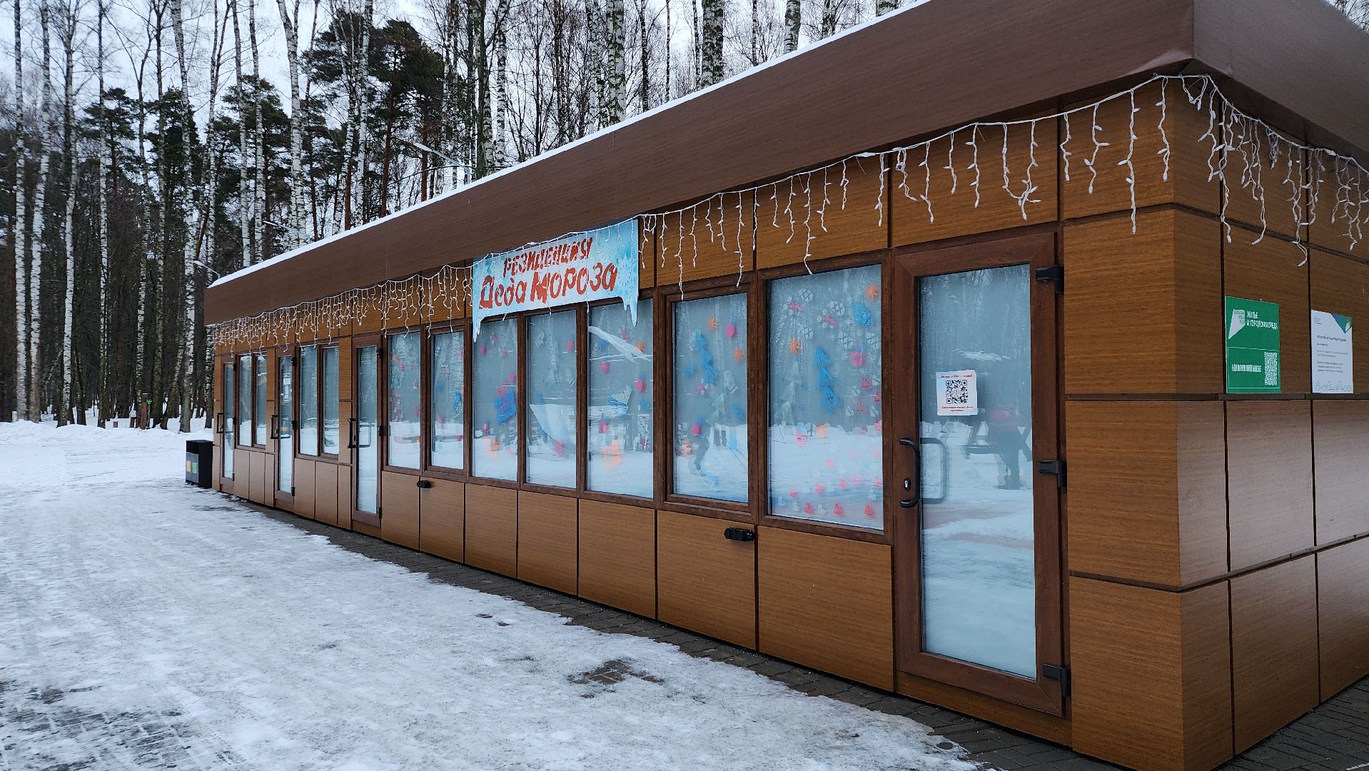 парки Богородского округа, новогодние каникулы, Центральный парк, Ногинск, Богородский городской округ,