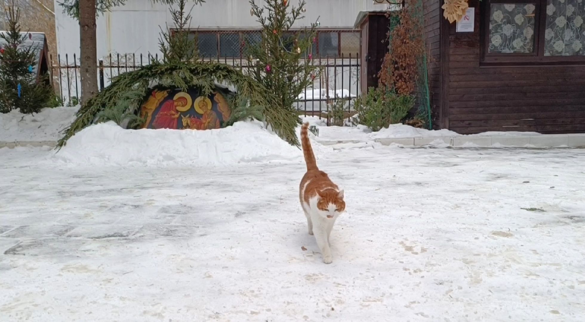 рождество христово, храм, лобня, вертикалки,