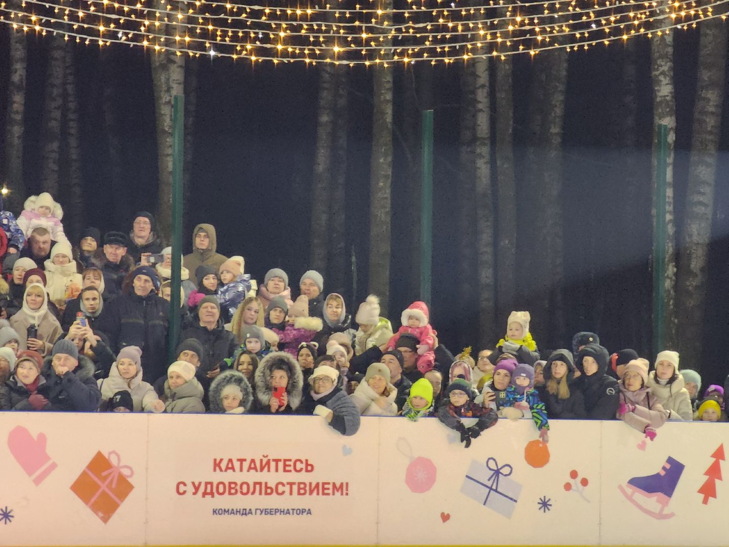 ледяное шоу, спектакль, фигуристы, фигурное катание, татьяна навка, ногонск, центральный парк, каток, жители, общество, вертикалки,