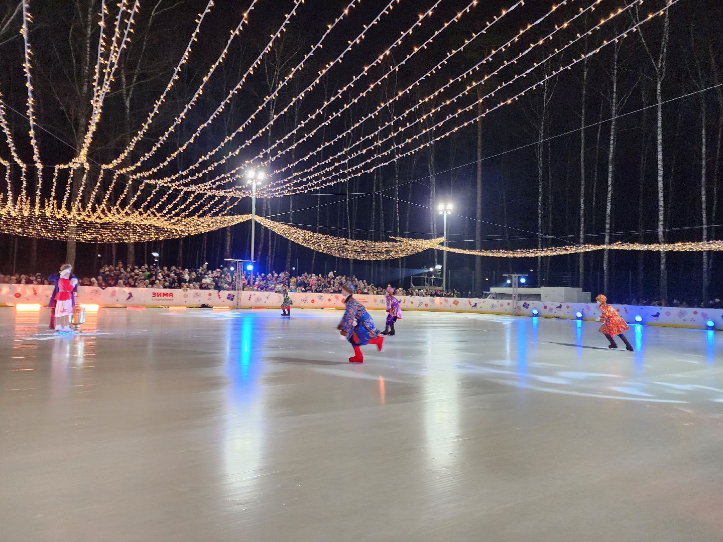 ледяное шоу, спектакль, фигуристы, фигурное катание, татьяна навка, ногонск, центральный парк, каток, жители, общество, вертикалки,