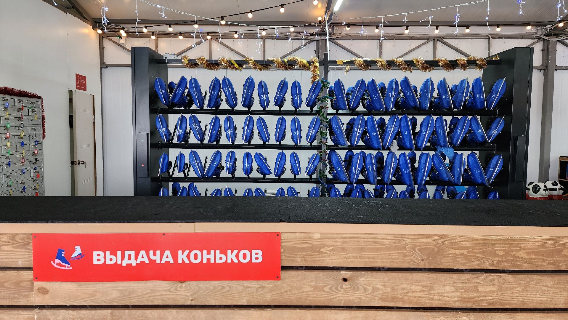 Солнечногорск, вертикалки, каток в парке, зима в подмосковье,