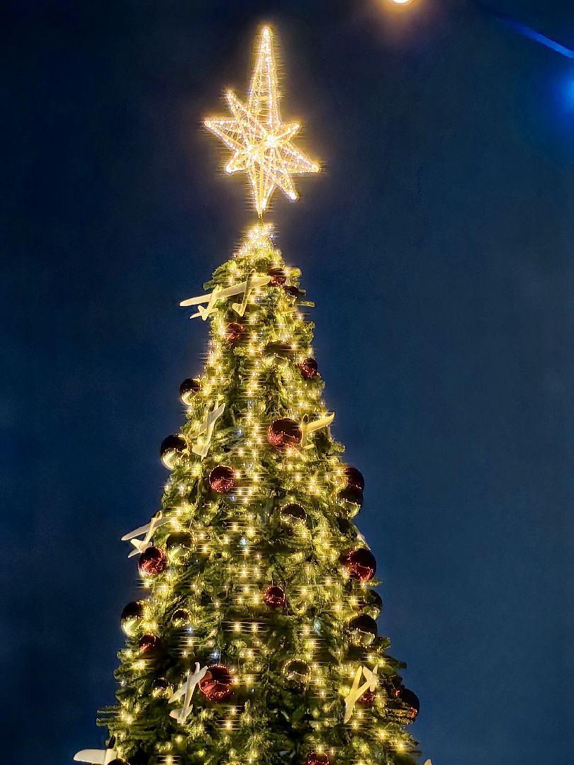 фотобудка, автомат, снимок, парк, елка,