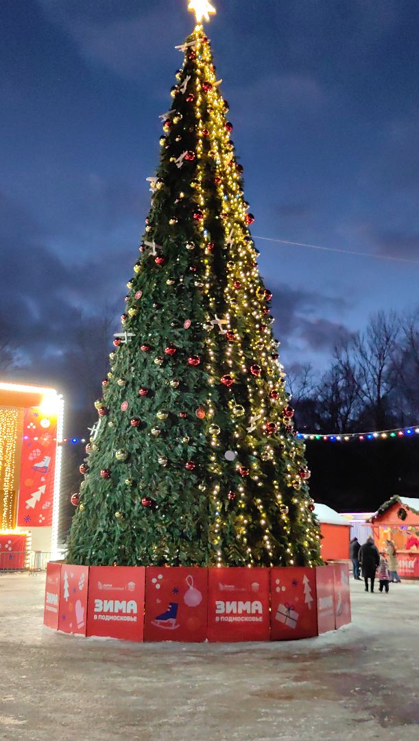 фотобудка, автомат, снимок, парк, елка,