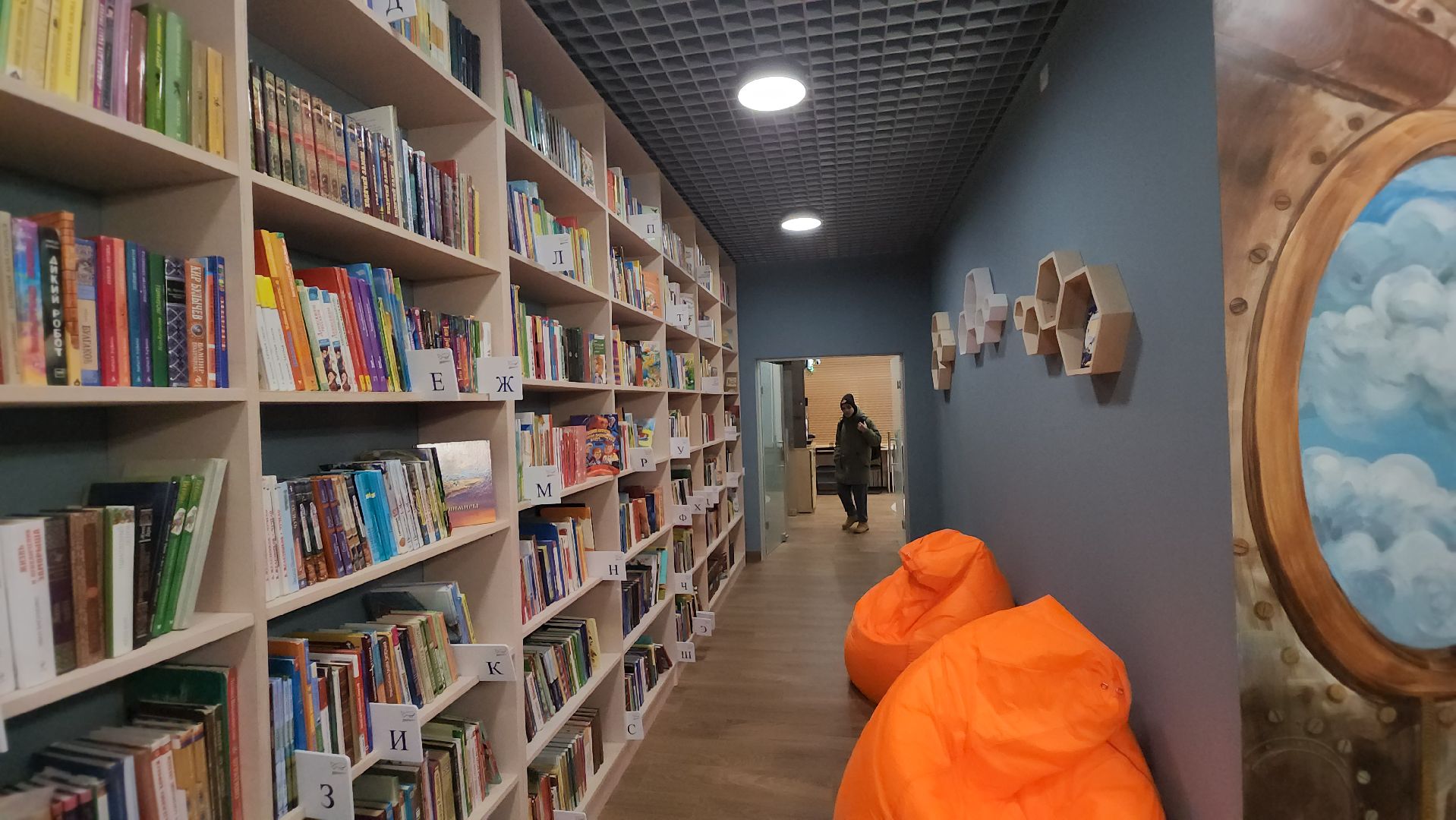 долгопрудный, библиотеки, модельная библиотека, капистальный ремонт, стимпанк, дирижабль, авиасимулятор,