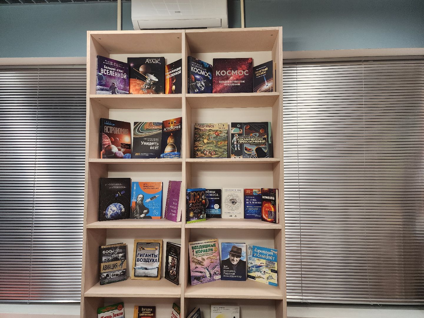 долгопрудный, библиотеки, модельная библиотека, капистальный ремонт, стимпанк, дирижабль, авиасимулятор,