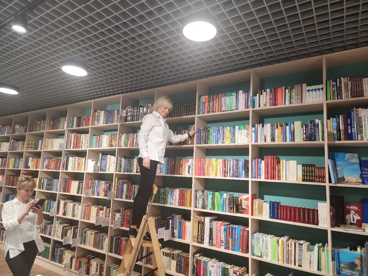 долгопрудный, библиотеки, модельная библиотека, капистальный ремонт, стимпанк, дирижабль, авиасимулятор,