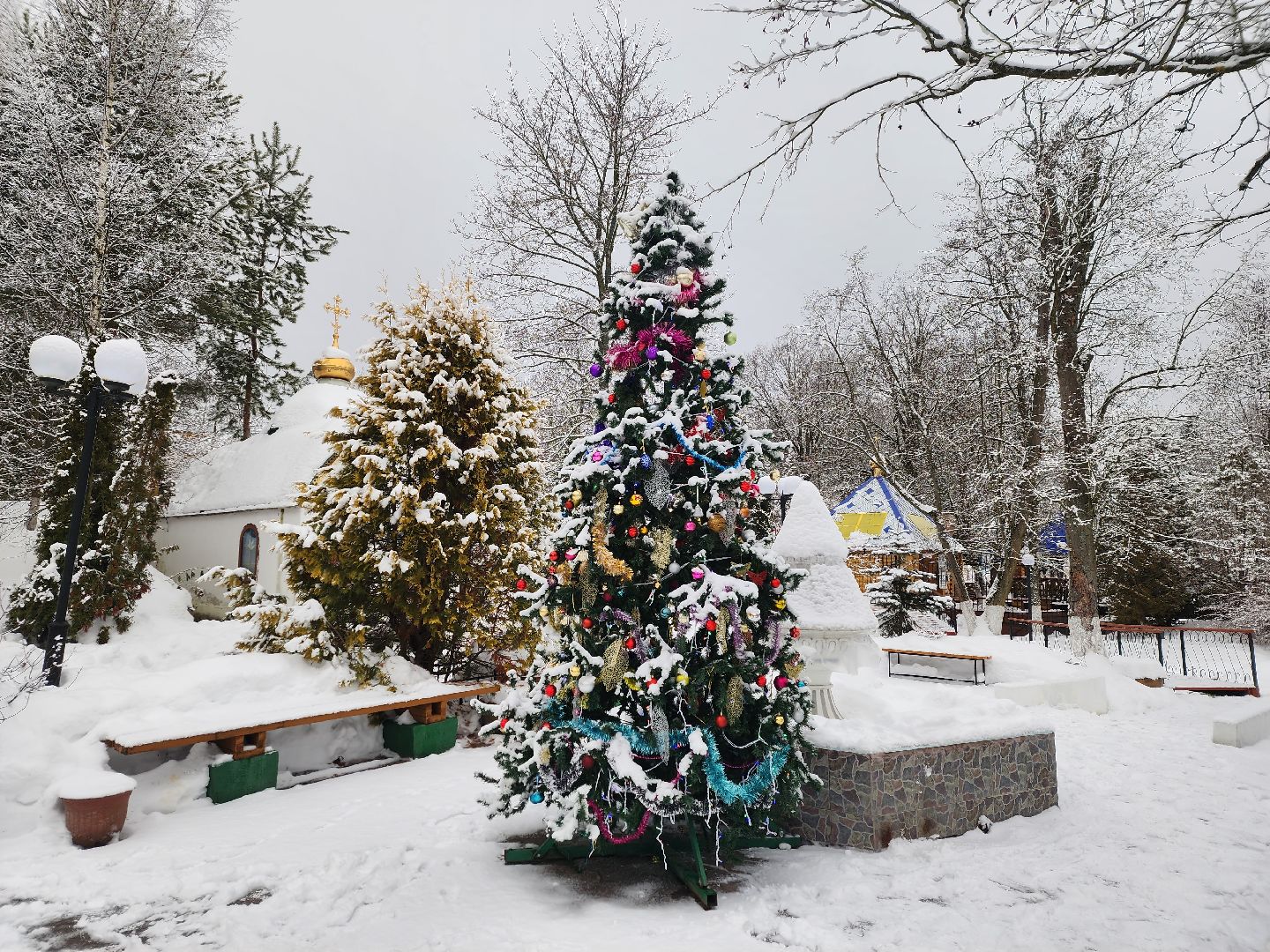 вертикалки, пушкино,