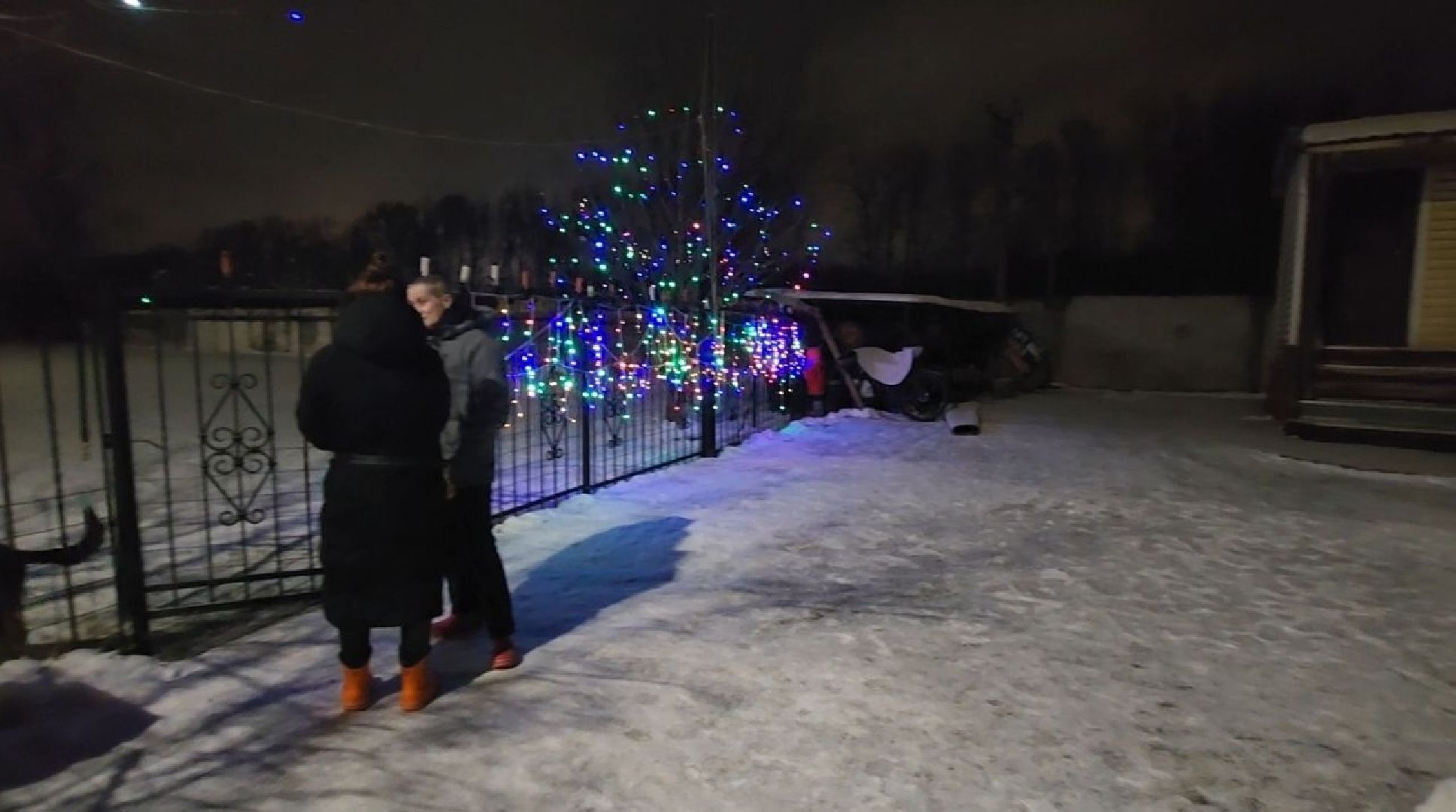 долгопрудный, x-легион, кинологи,новогоднее поздравление, лекторий, конкурс гражданских инициатив,