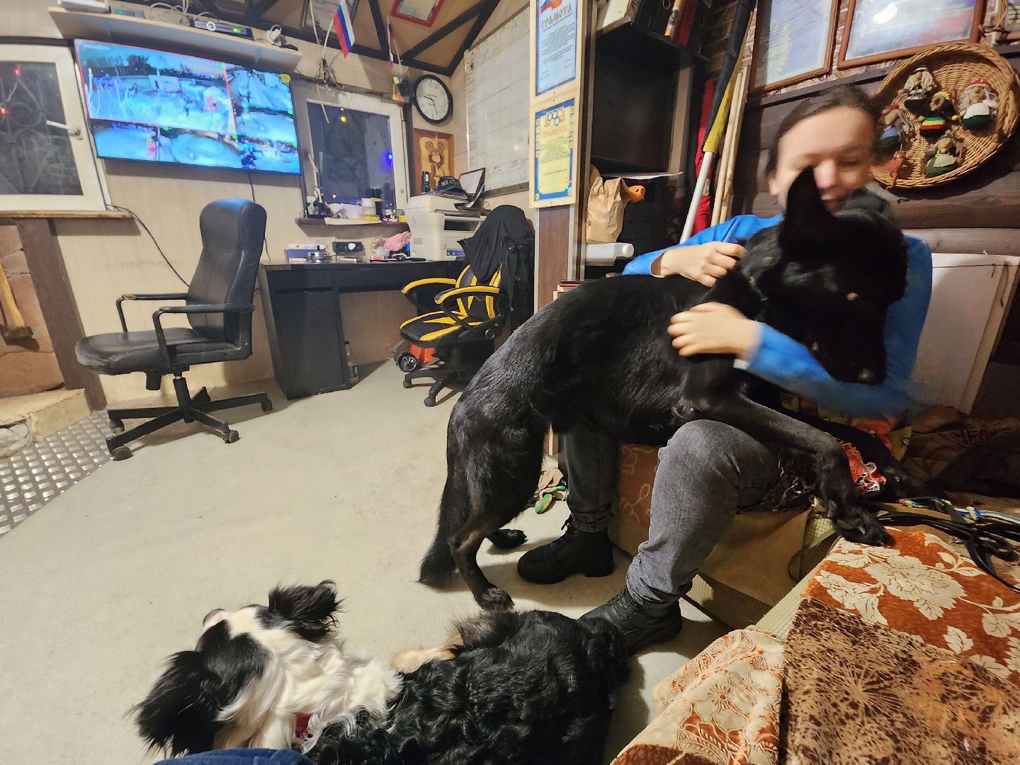 долгопрудный, x-легион, кинологи,новогоднее поздравление, лекторий, конкурс гражданских инициатив,