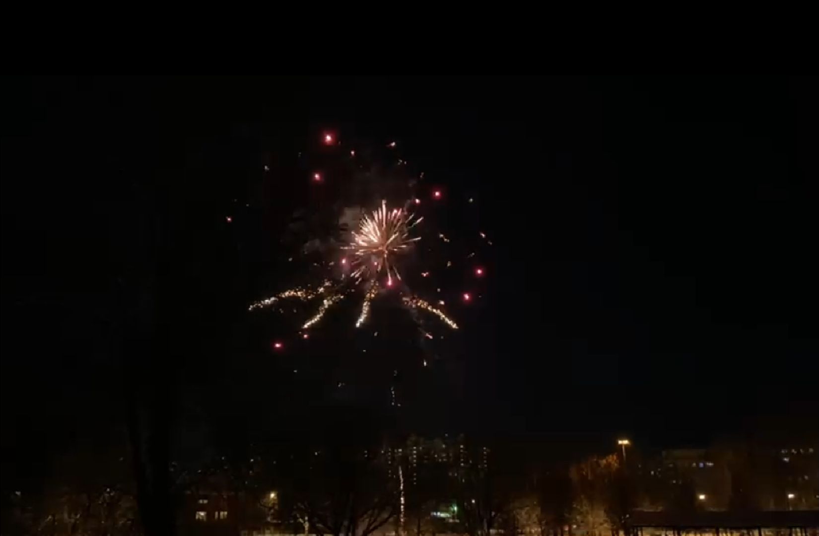 долгопрудный, центральный парк, парки, фейерверки, пиротехника, безопасность, вертикалки,