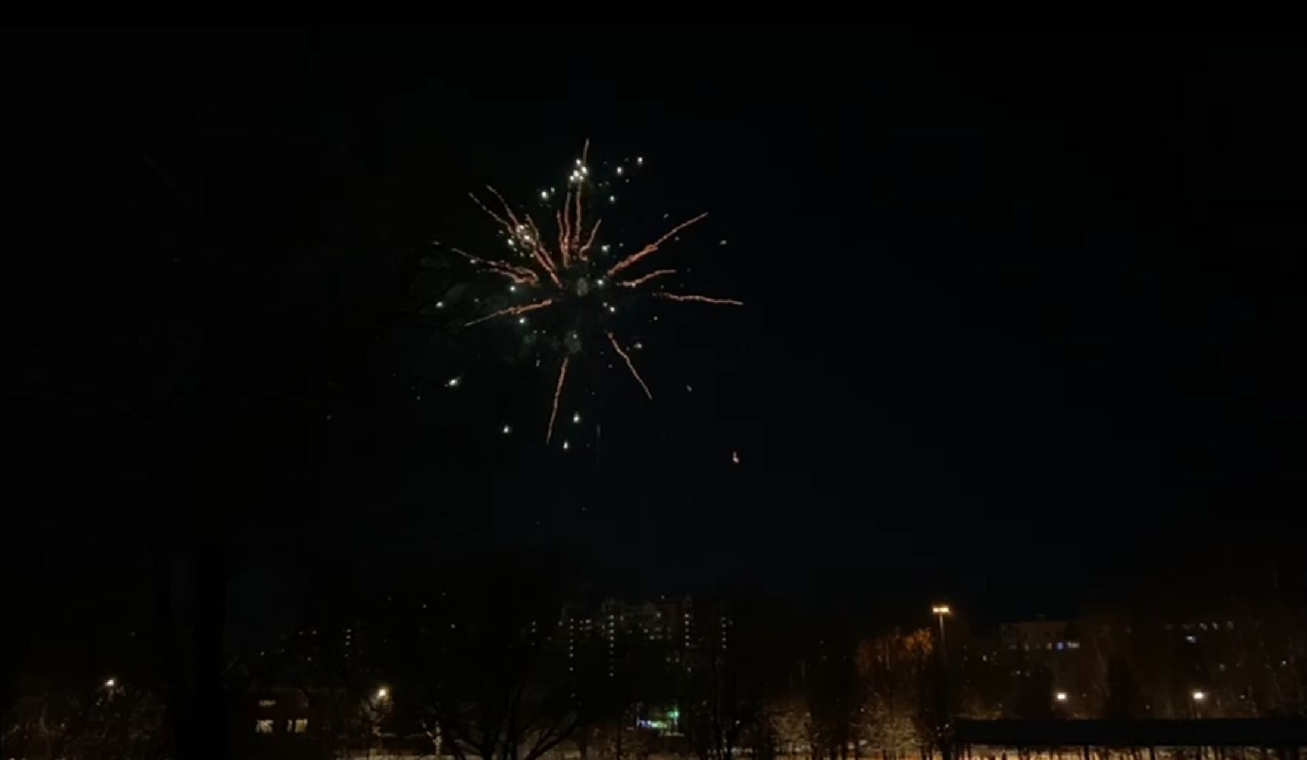 долгопрудный, центральный парк, парки, фейерверки, пиротехника, безопасность, вертикалки,