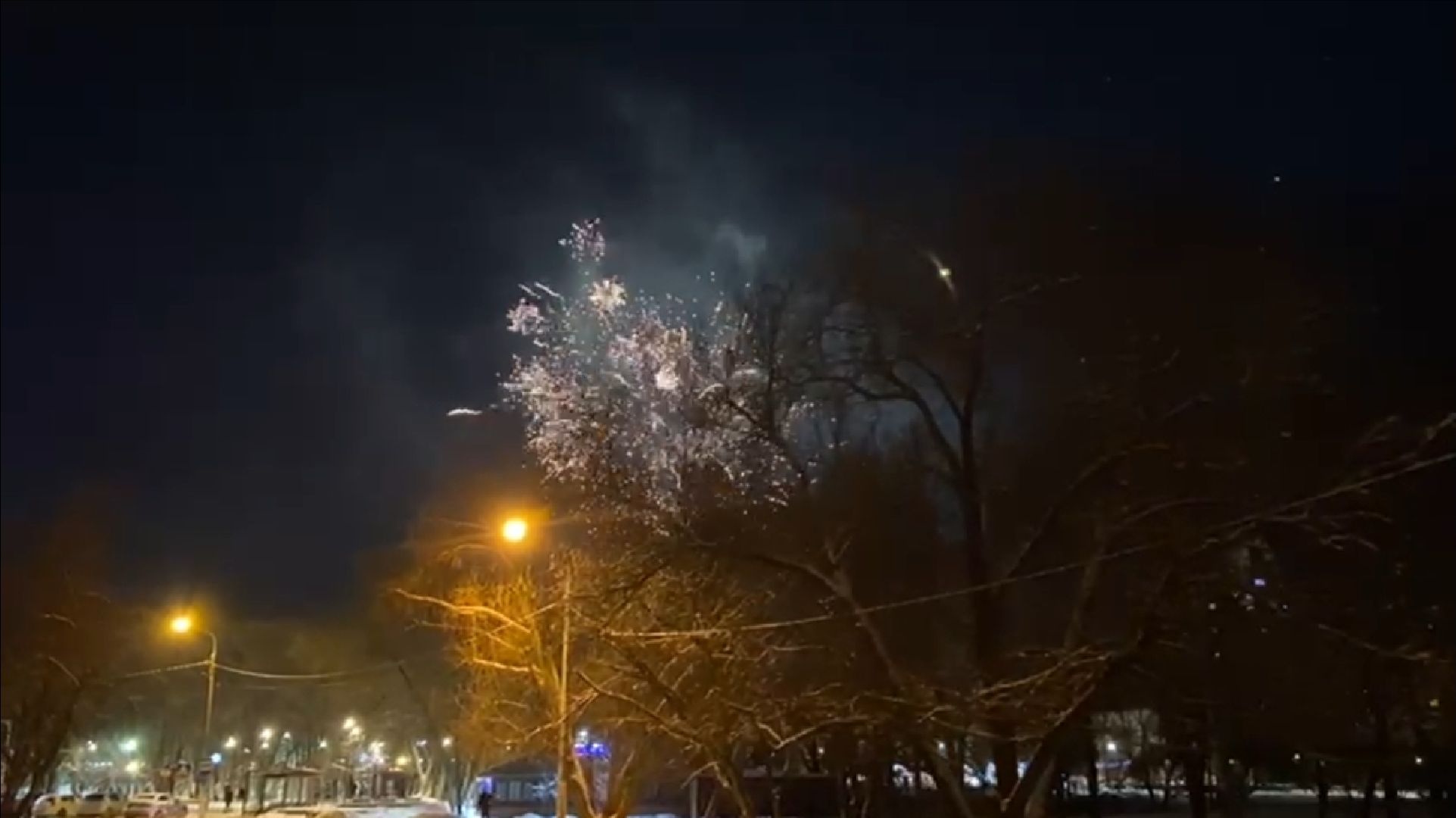 долгопрудный, центральный парк, парки, фейерверки, пиротехника, безопасность, вертикалки,