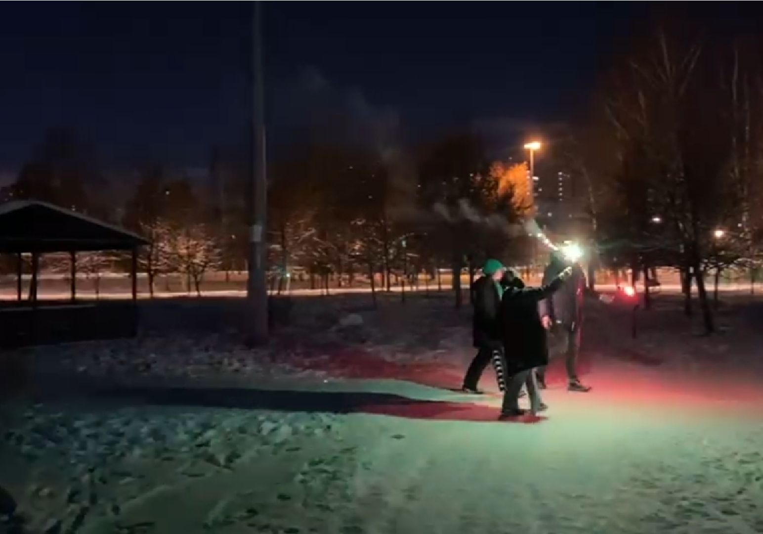 долгопрудный, центральный парк, парки, фейерверки, пиротехника, безопасность, вертикалки,