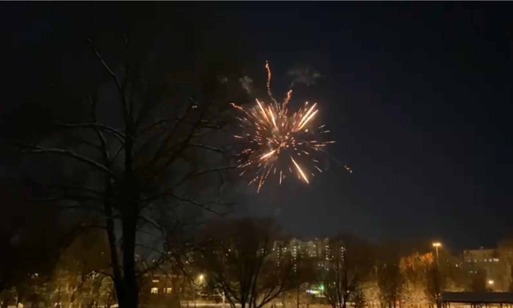 долгопрудный, центральный парк, парки, фейерверки, пиротехника, безопасность, вертикалки,