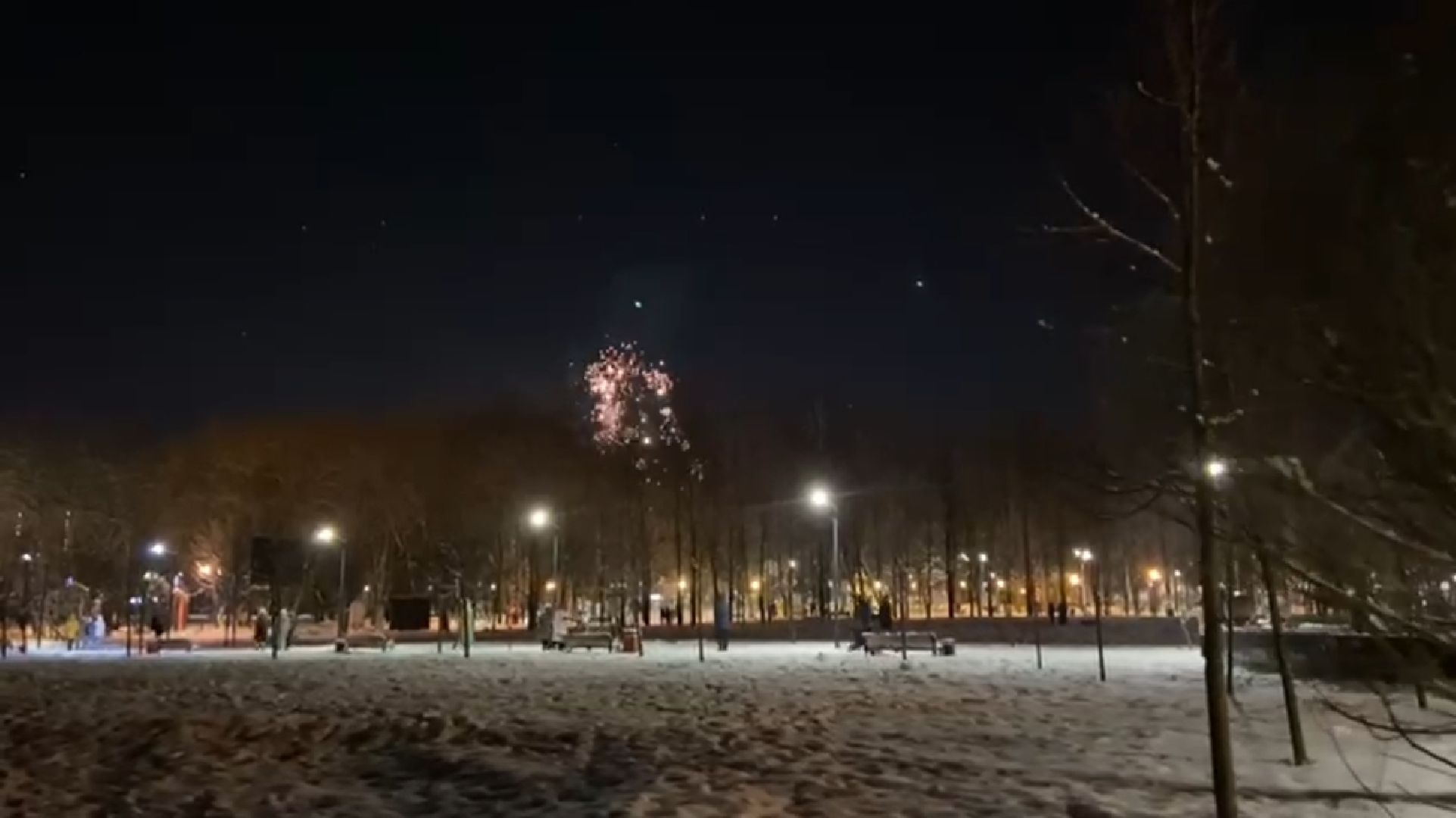 долгопрудный, центральный парк, парки, фейерверки, пиротехника, безопасность, вертикалки,