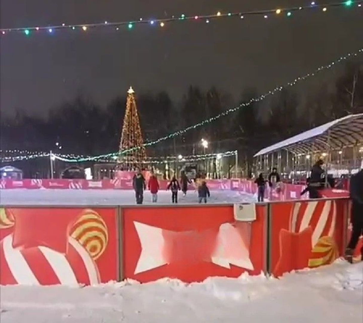 долгопрудный, каток в парке, ледовое шоу, центральный парк, фск салют,