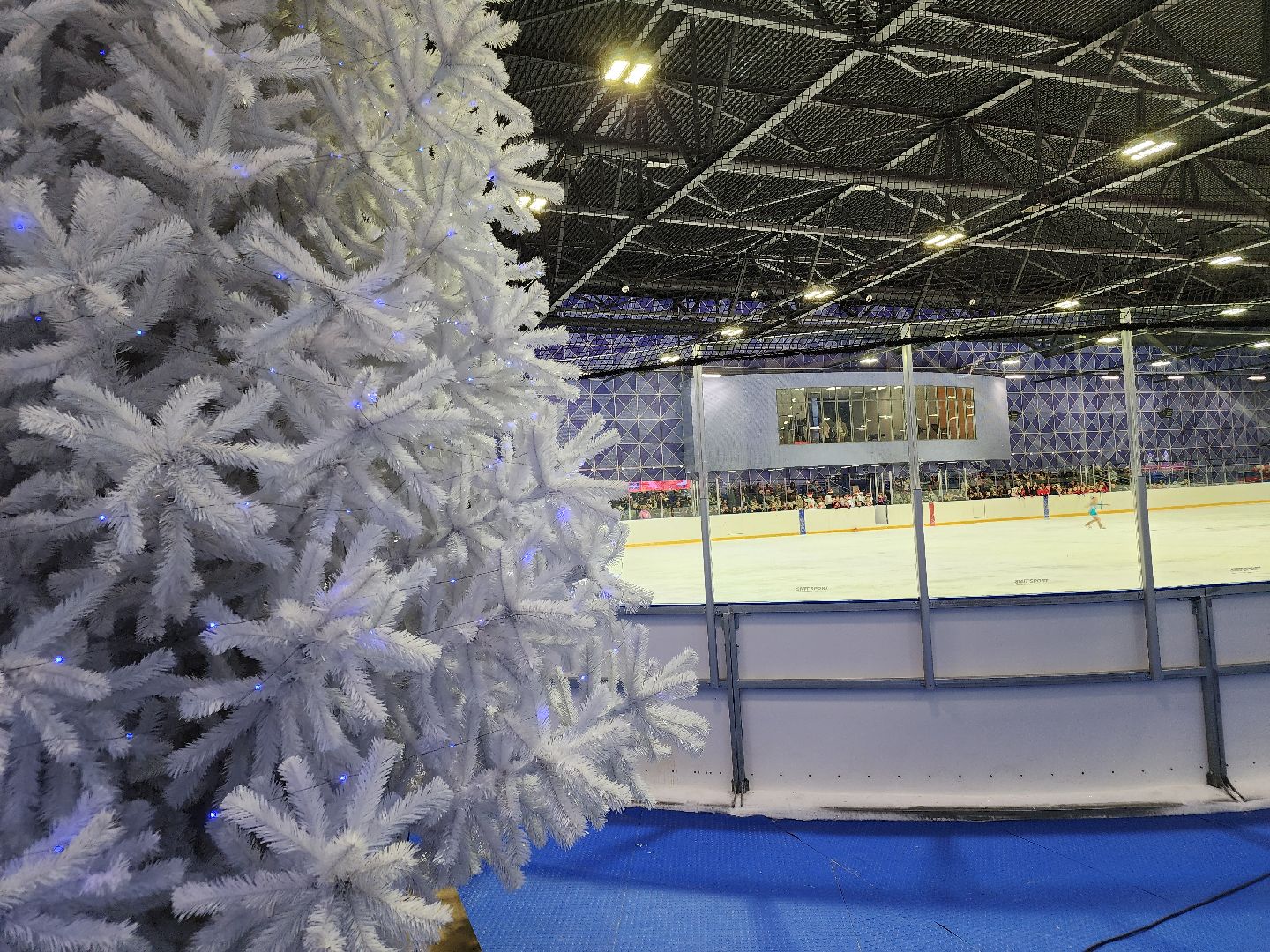 вертикалки, катки, орехово-зуевский округ,зимавподмосковье,