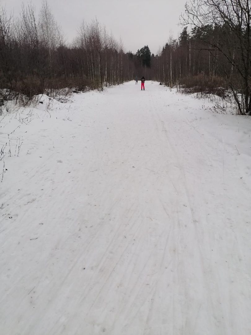 пушкинский, ивантеевка, вертикалки, стадион, стадион труд, лыжная трасса,спортивная школа ивантеевка,массовое катание,