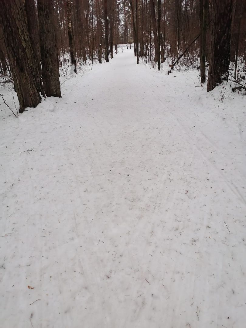 пушкинский, ивантеевка, вертикалки, стадион, стадион труд, лыжная трасса,спортивная школа ивантеевка,массовое катание,