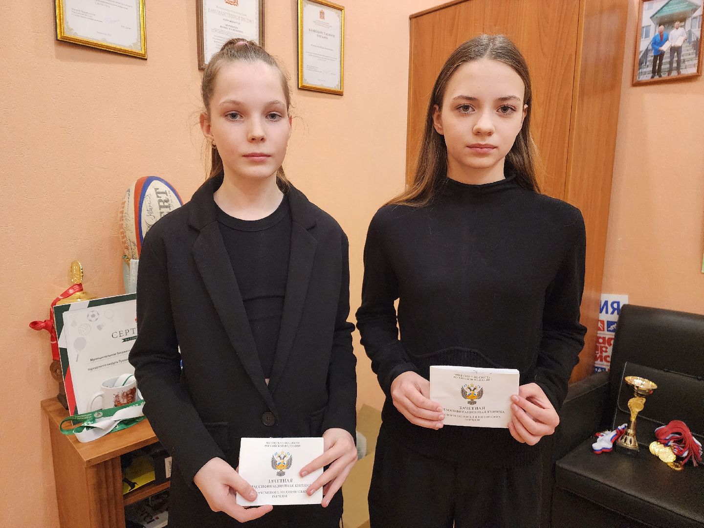 городской округ пушкинский, красноармейск, спортшкола, бадминтон, футбол, вертикалки,