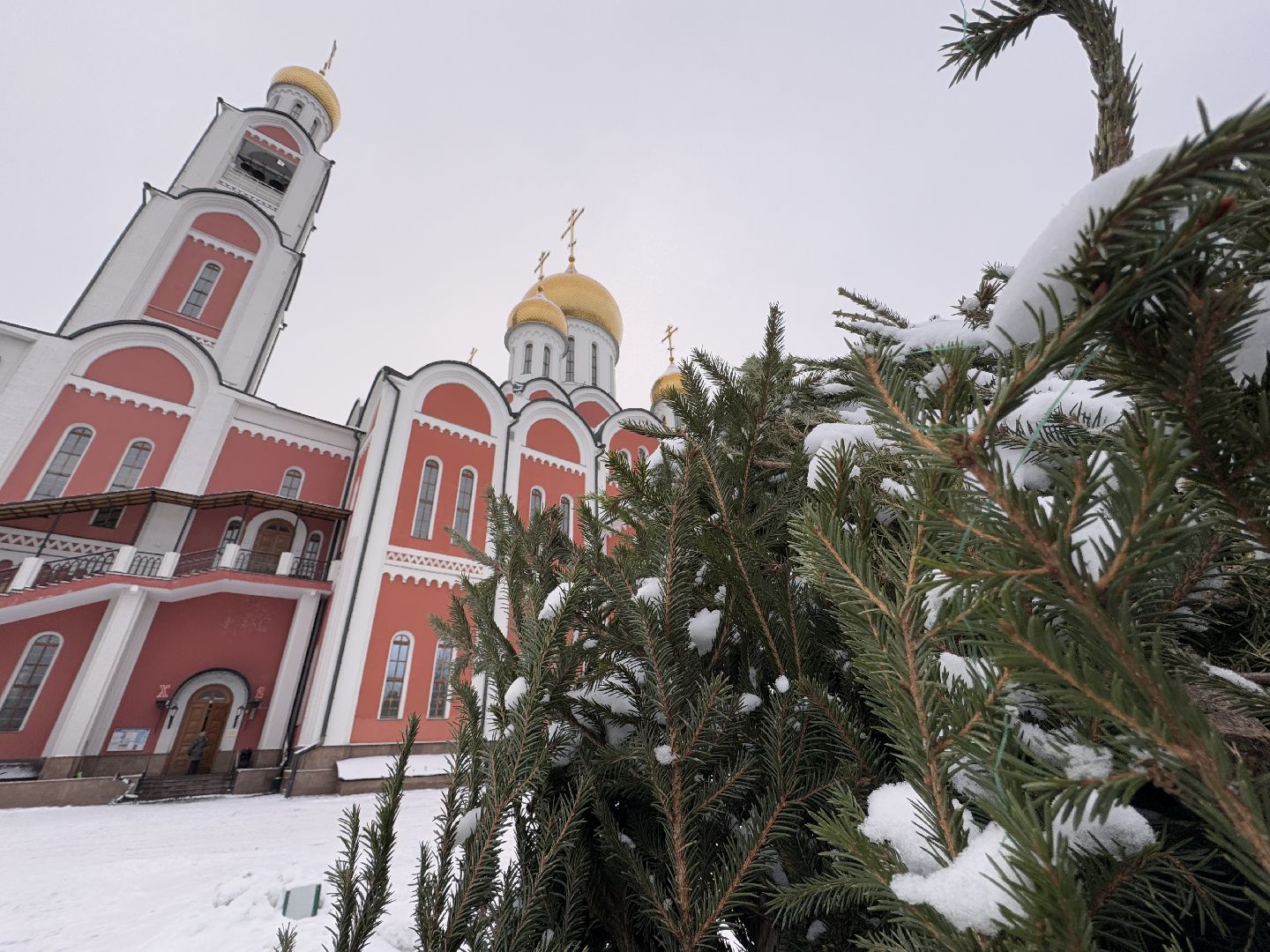 рождество христово, Георгиевский кафедральный собор, Украшение храма, Одинцово,