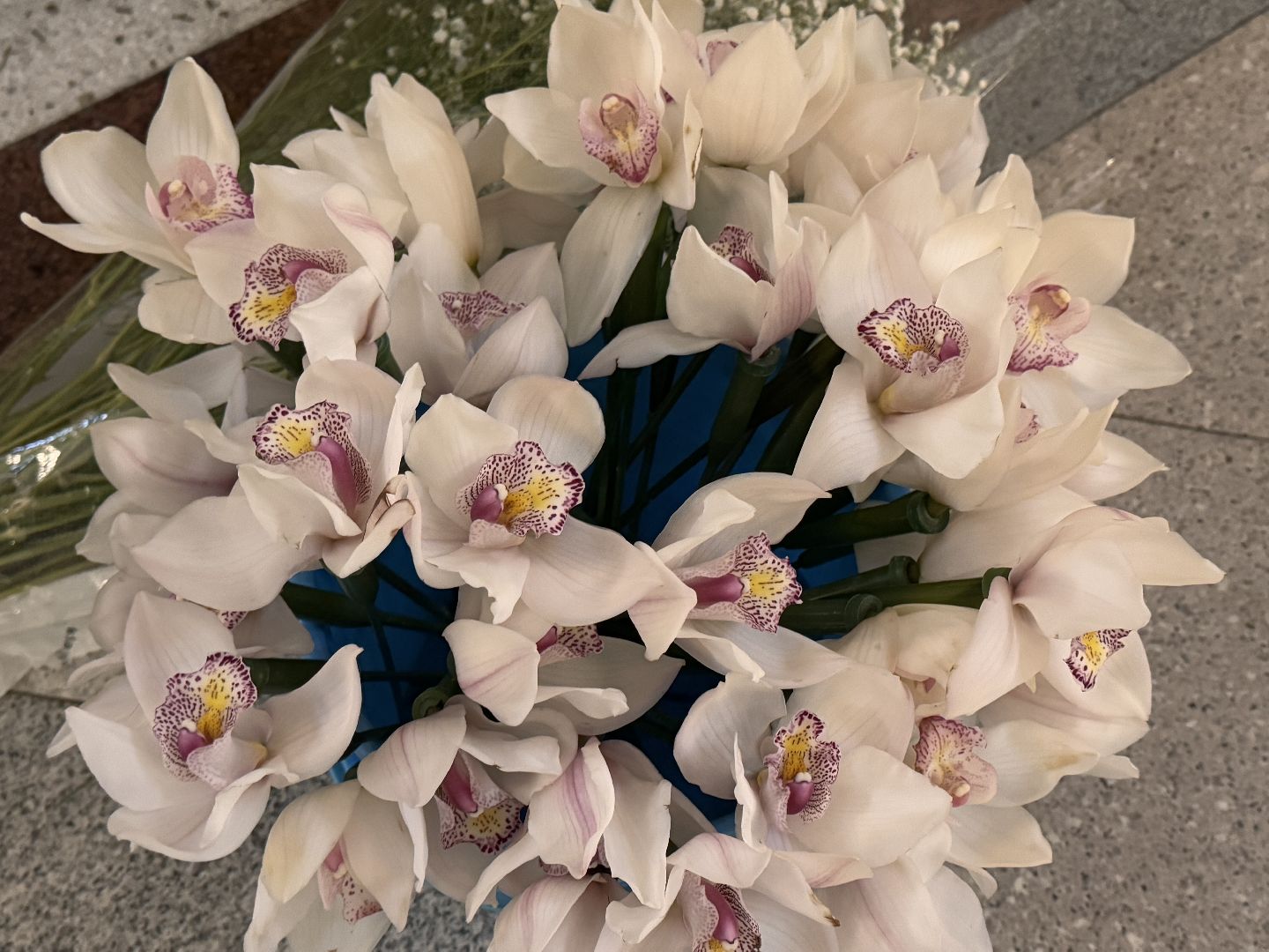 рождество христово, Георгиевский кафедральный собор, Украшение храма, Одинцово,