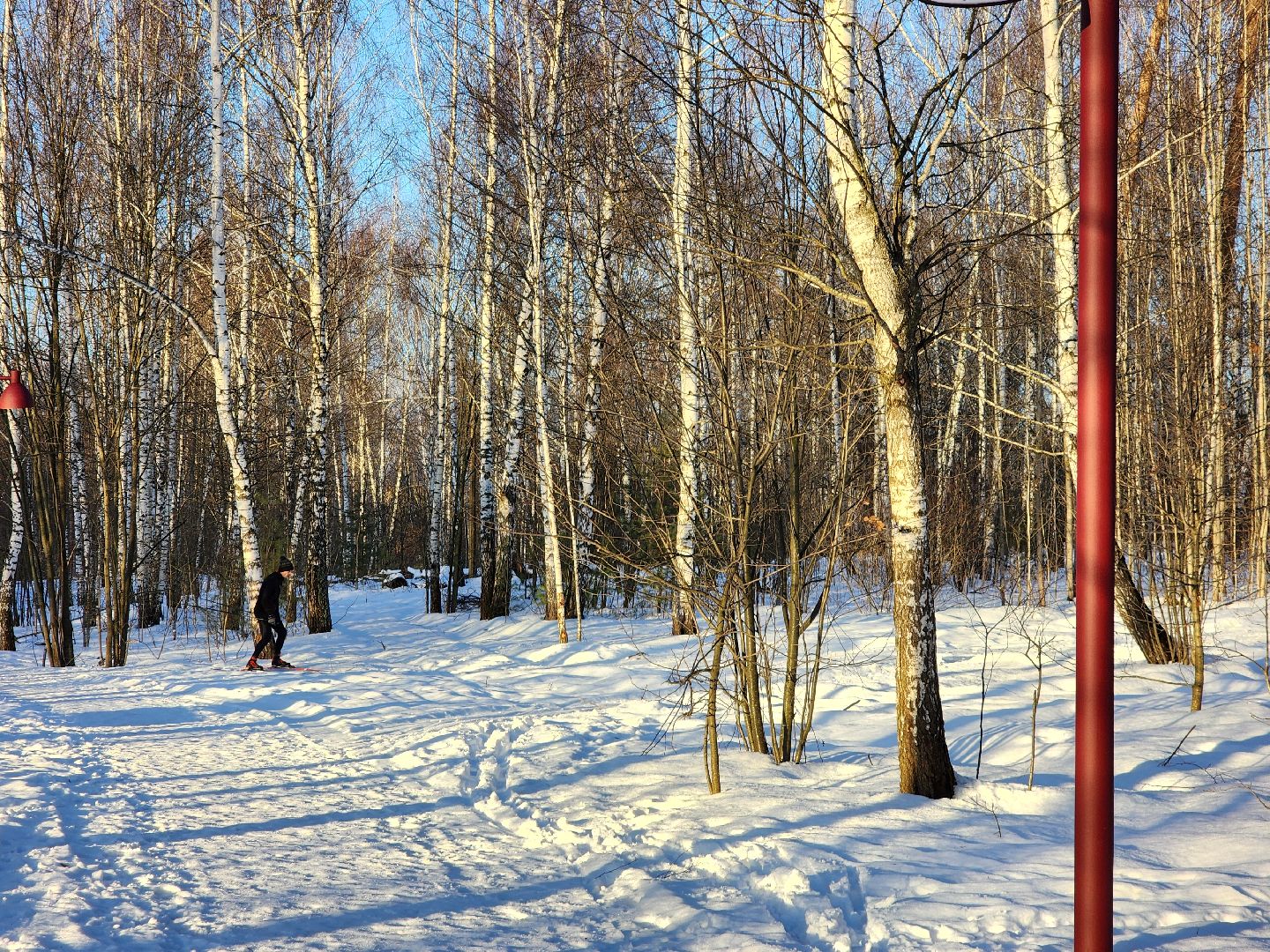 фрязино, усадьба гребнево, новогодние каникулы, отдых, вертикалки,