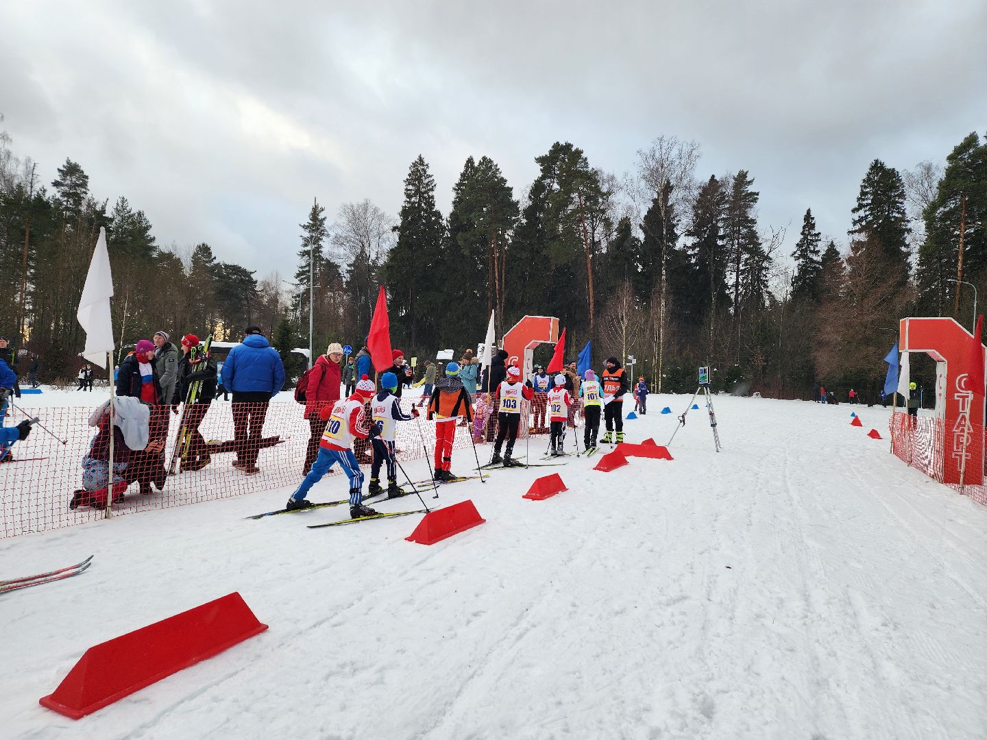 вертикалки, мытищи, лыжня,
