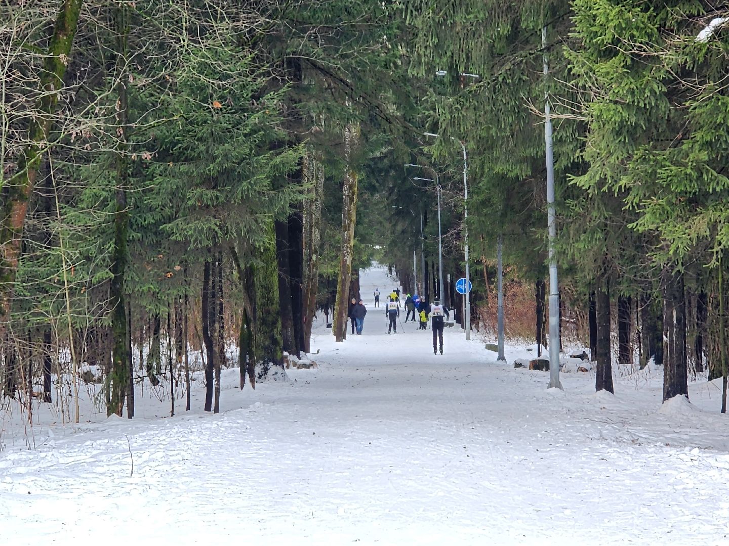 вертикалки, мытищи, лыжня,