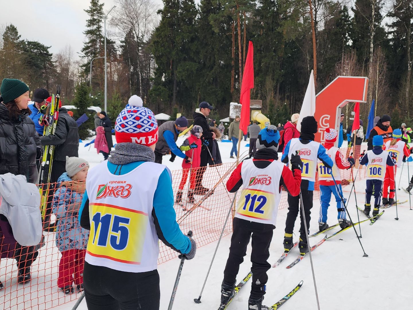 вертикалки, мытищи, лыжня,