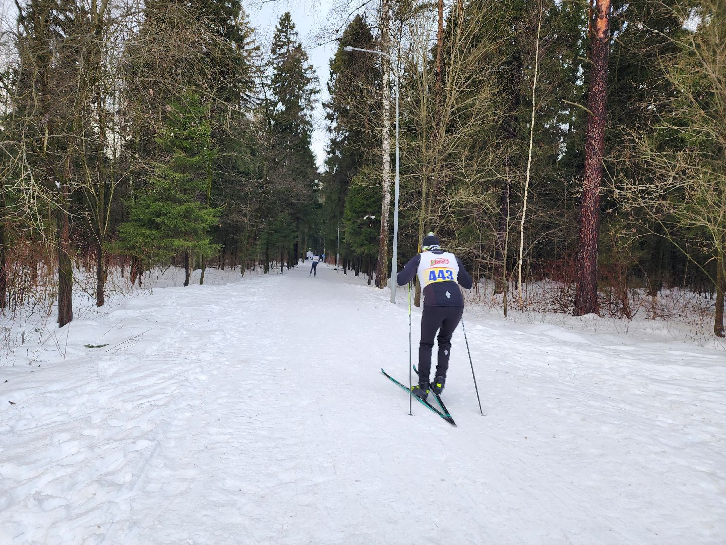 вертикалки, мытищи, лыжня,