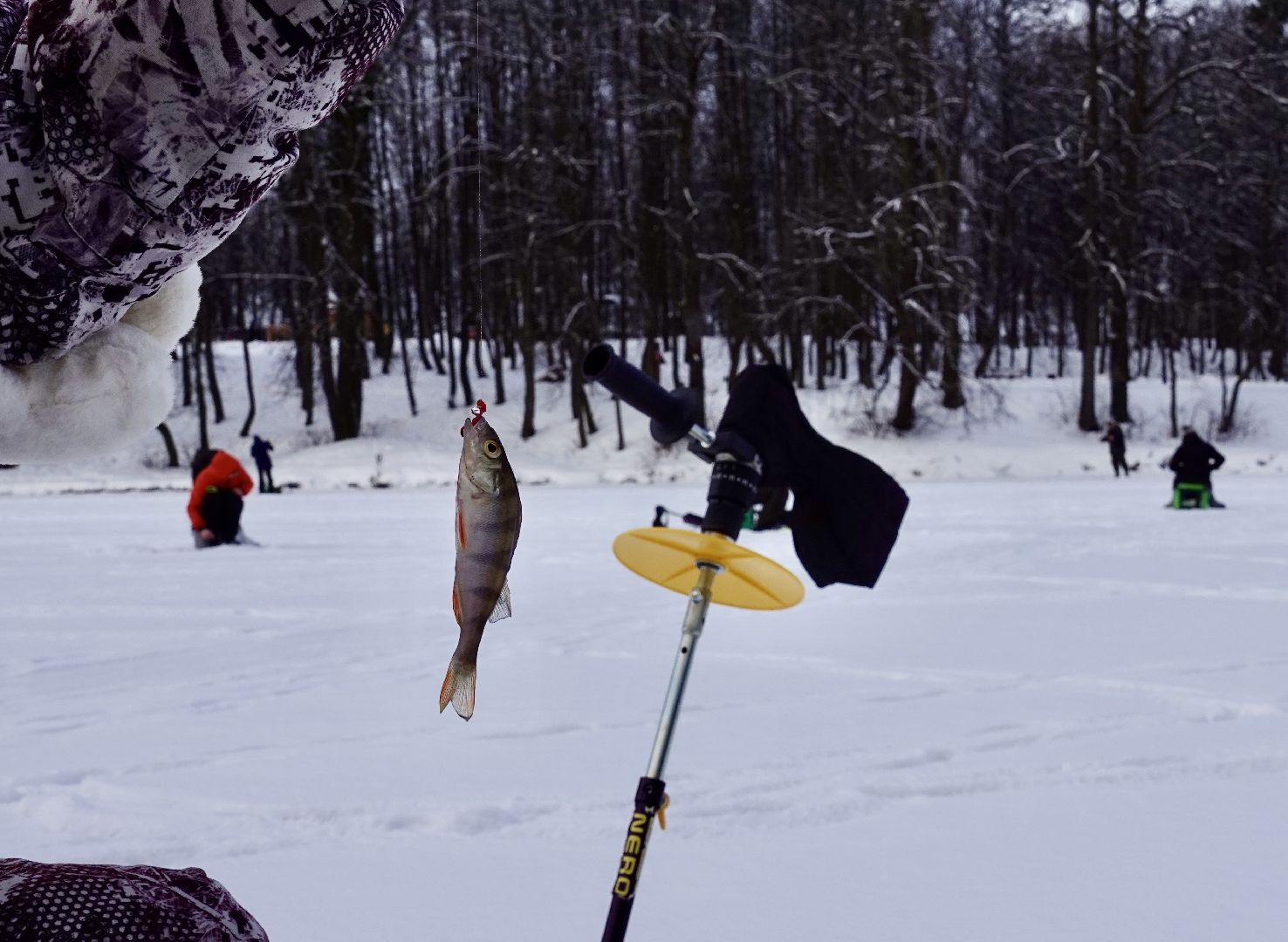 сергиев посад, скитские пруды, сергиево-посадский городской округ, мормышка, фестиваль зимней рыбалки, зима в подмосковье, парки мо,