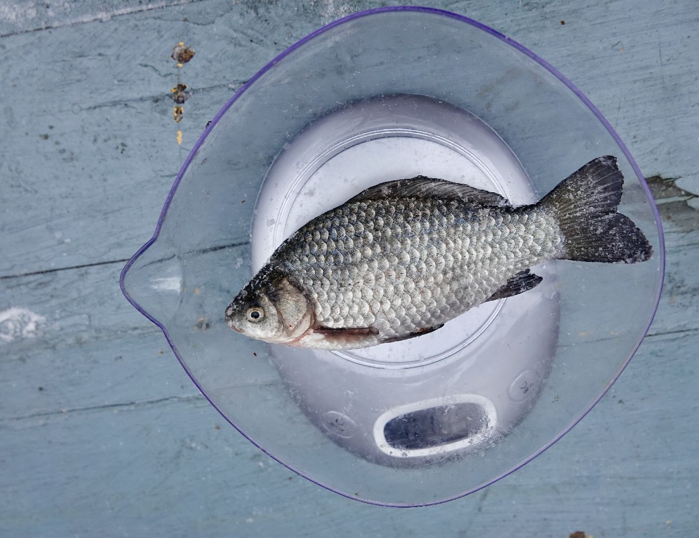 сергиев посад, сергиево-посадский городской округ, мормышка, скитские пруды, фестиваль зимней рыбалки, парки мо, зима в подмосковье,