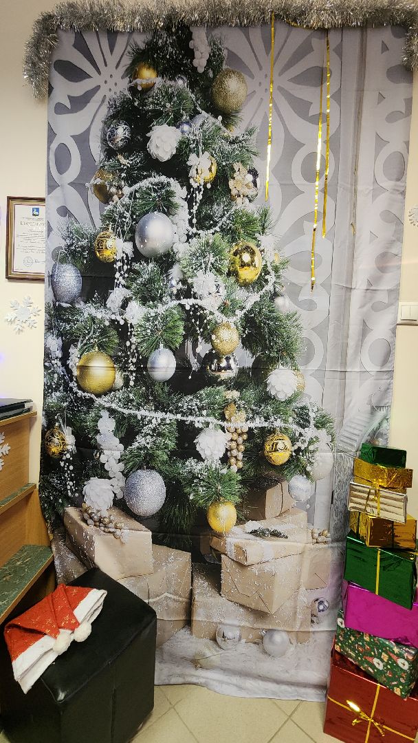 Звенигород, Культура, Гостиная Деда Мороза,вертикалки,