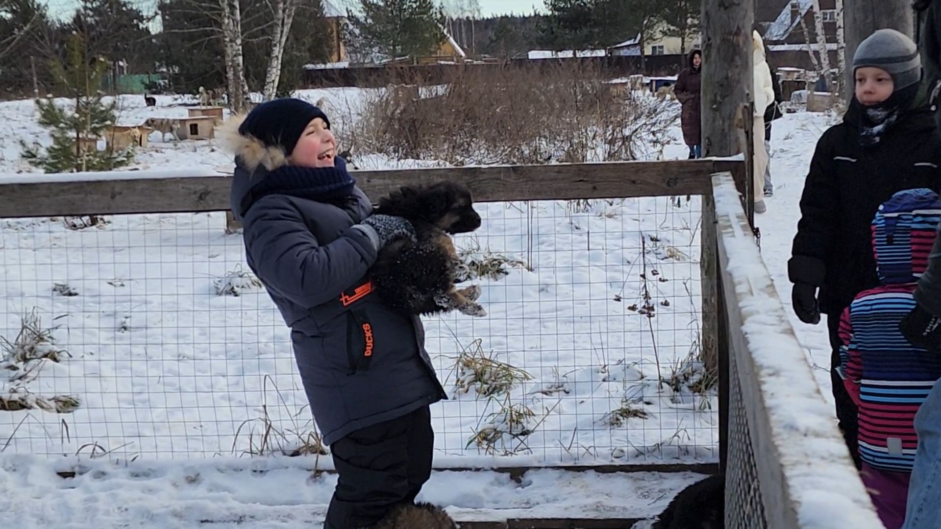 Раменское, Туризм, хаски парк раменское, Куда поехать с детьми, Катание на хаски,