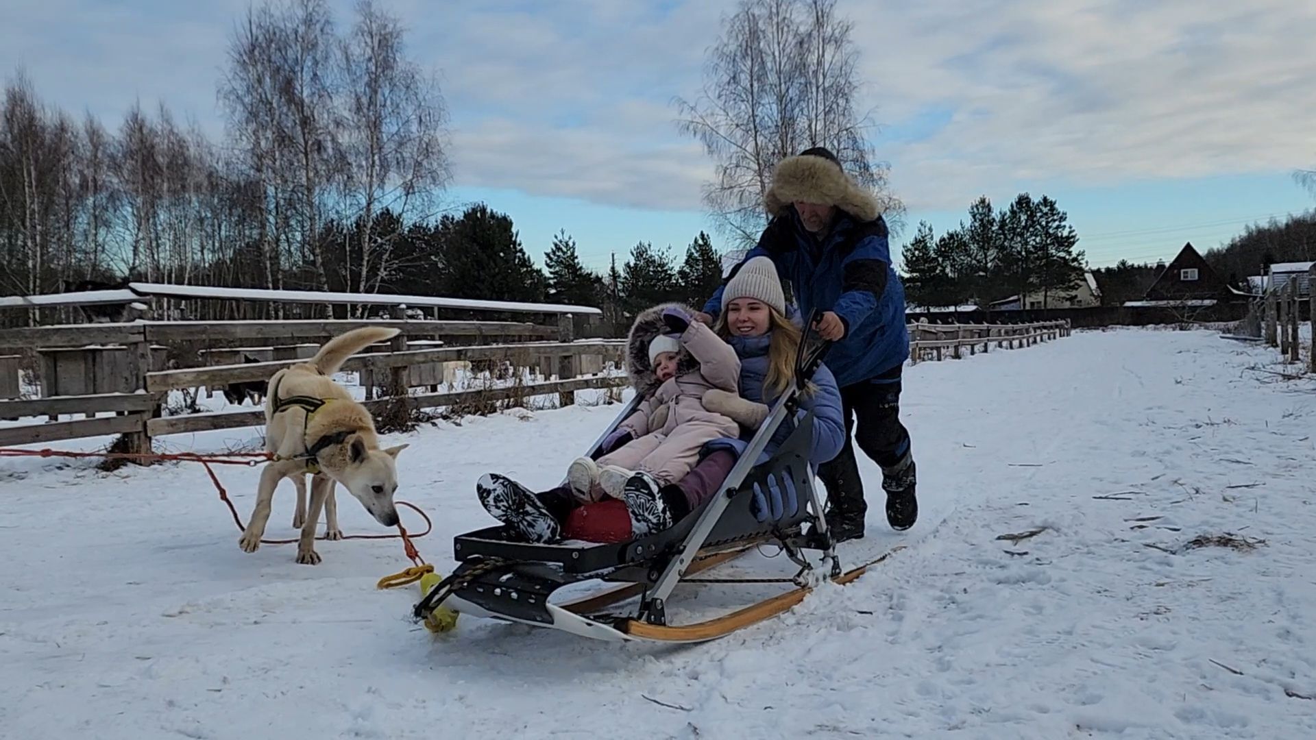 Раменское, Туризм, хаски парк раменское, Куда поехать с детьми, Катание на хаски,
