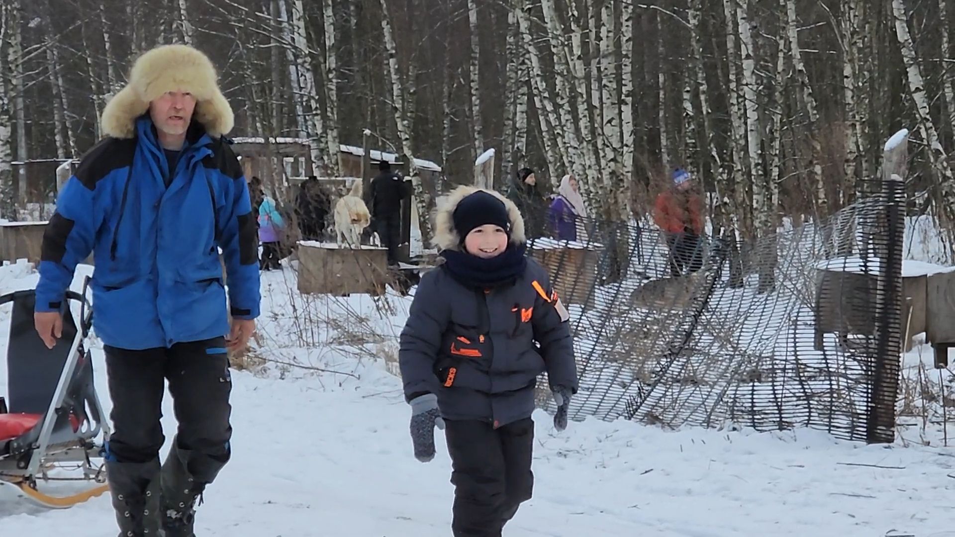 Раменское, Туризм, хаски парк раменское, Куда поехать с детьми, Катание на хаски,
