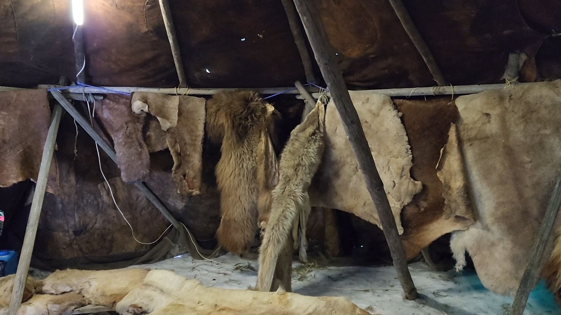 Раменское, Туризм, хаски парк раменское, Куда поехать с детьми, Катание на хаски,