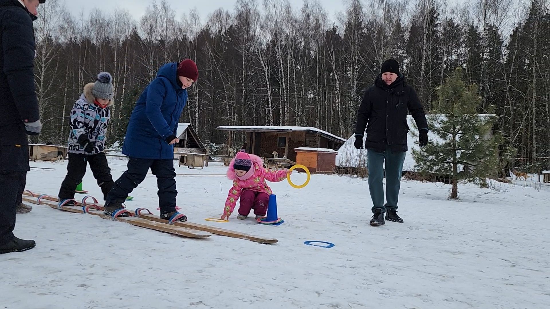 Раменское, Туризм, хаски парк раменское, Куда поехать с детьми, Катание на хаски,