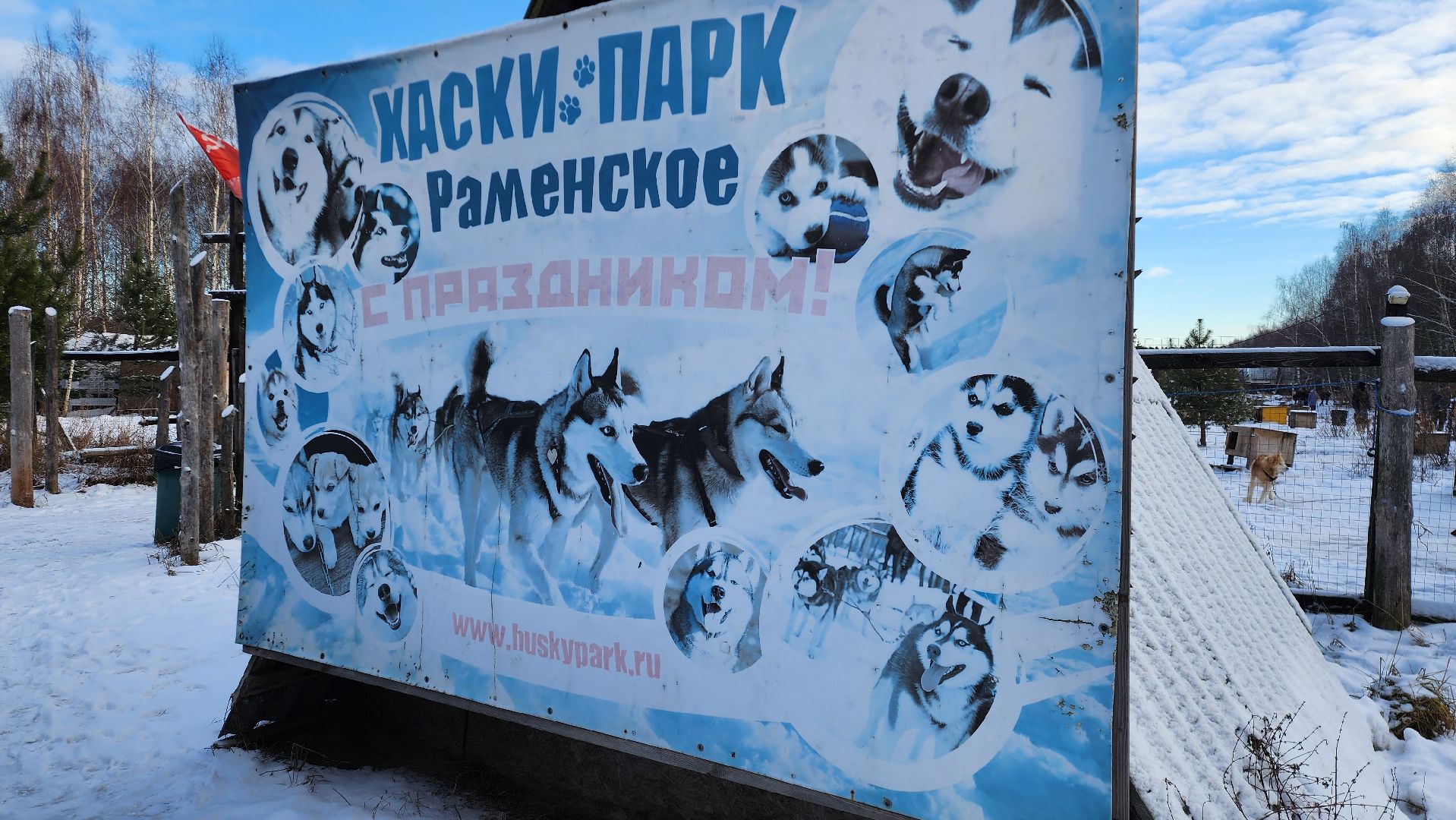 Раменское, Туризм, хаски парк раменское, Куда поехать с детьми, Катание на хаски,