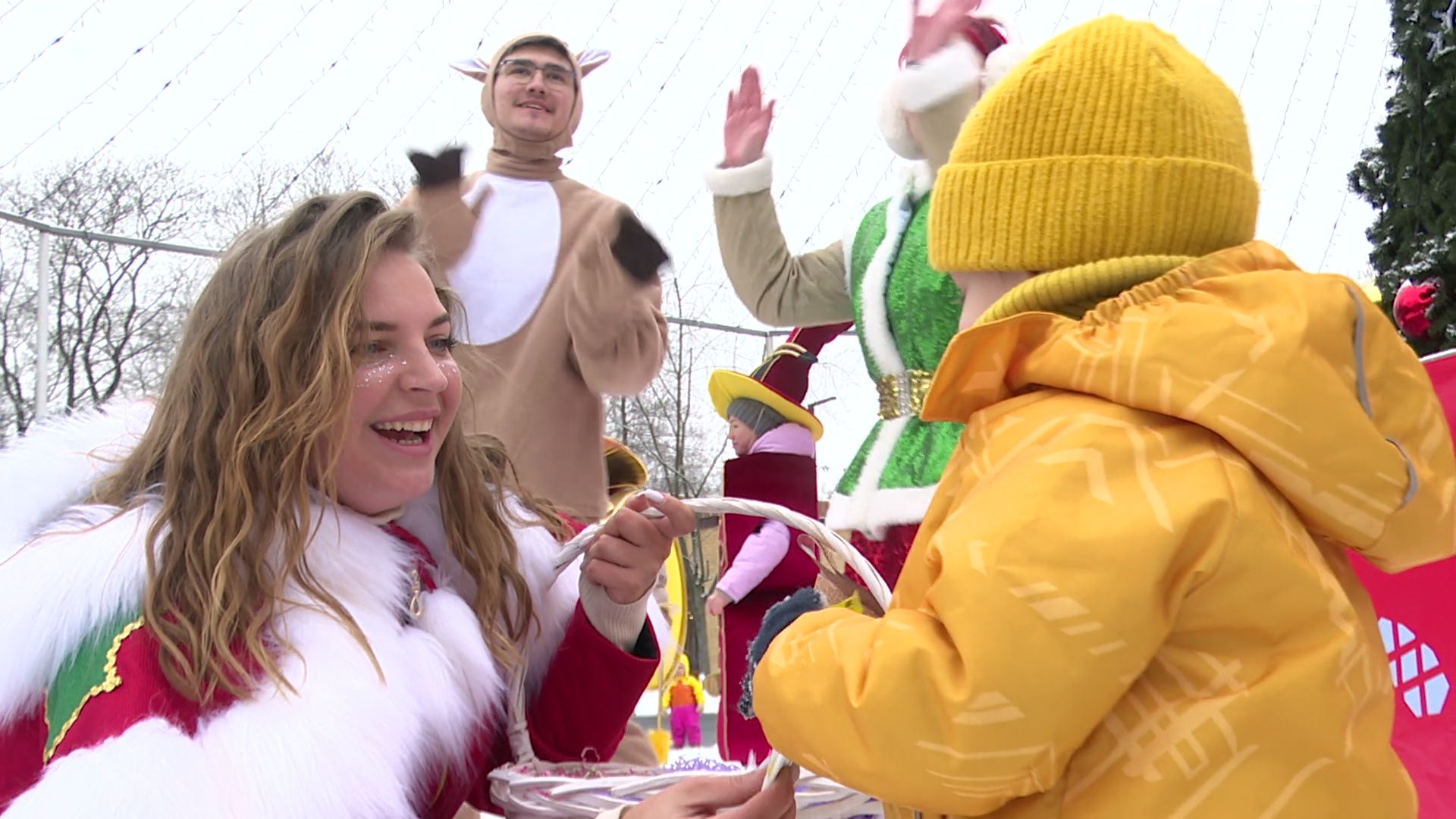 Реутов, вертикалки, Дед Мороз рекомендует, знак качества, парковые территории, место отдыха,