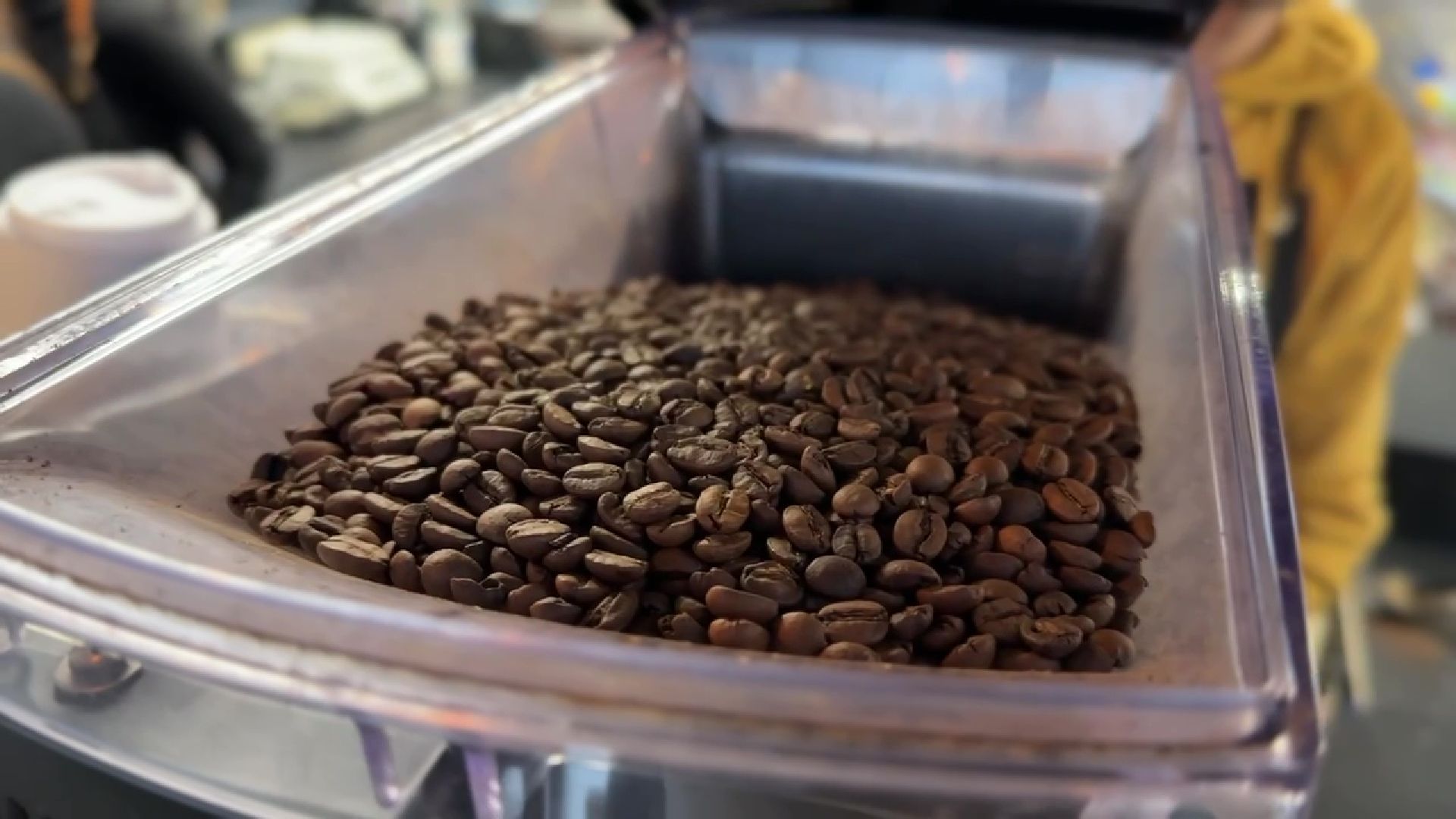 Реутов, вертикалки, парки, кофе в парках, бариста, цитрусовый раф, пунш, облепиха, лавандовый раф, тыквенный раф, сырный раф, пряный вкус, ароматный кофе,