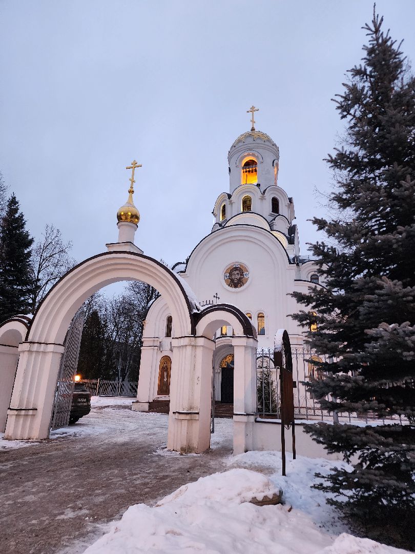 фрязино, рождественский сочельник, храм, рождество христово, вертикалки,