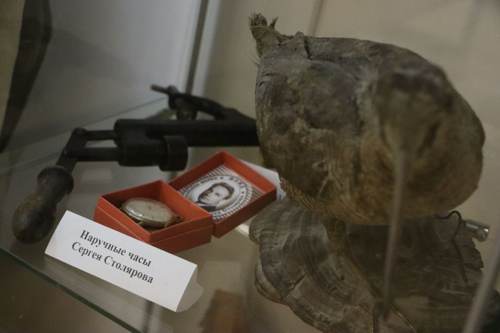 Серебряные пруды, Культурный центр Наследие, Сергей Столяров, Зима в подмосковье,