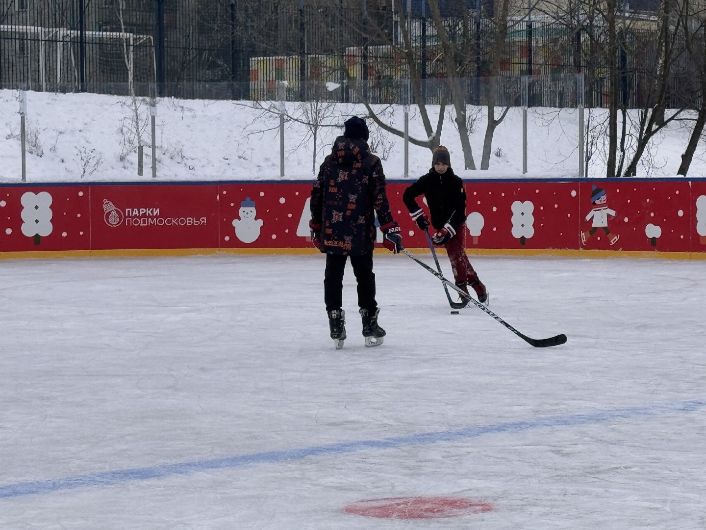 хоккейная коробка, вектор недвижимости, Бесплатный каток в Одинцово,