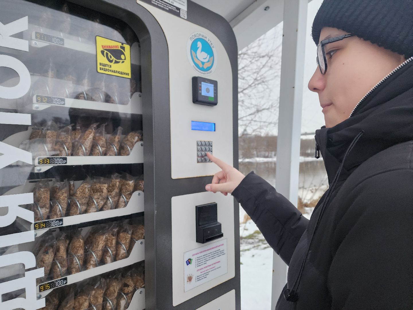 воскресенск, парк кривякино, утки,