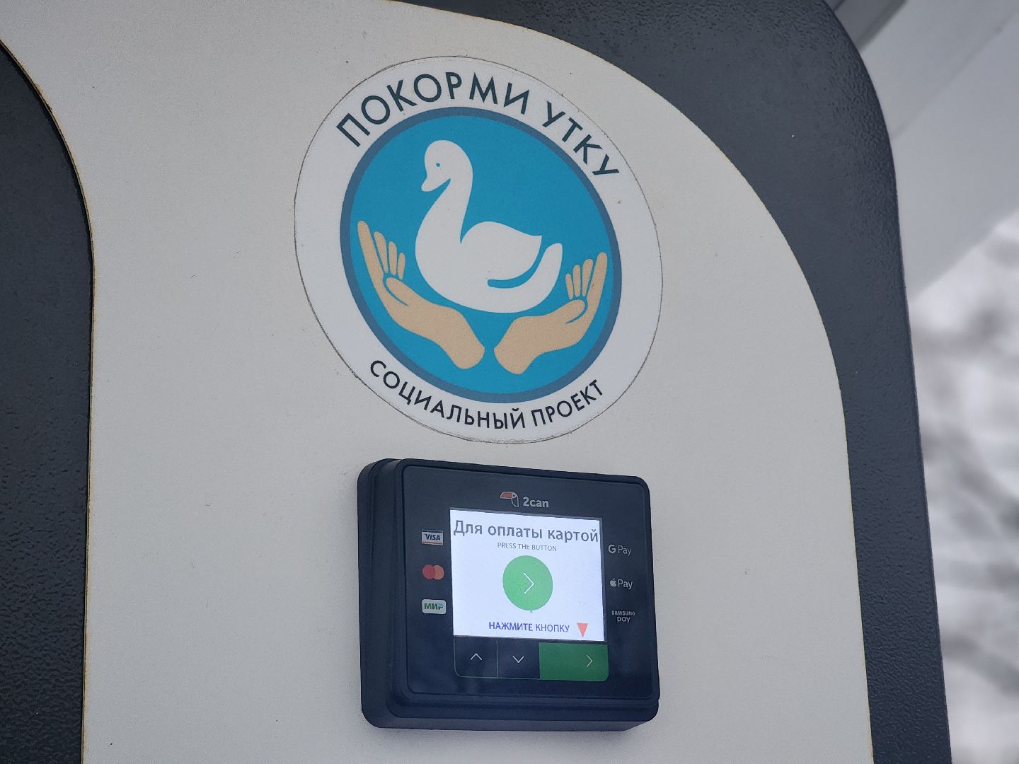 воскресенск, парк кривякино, утки,