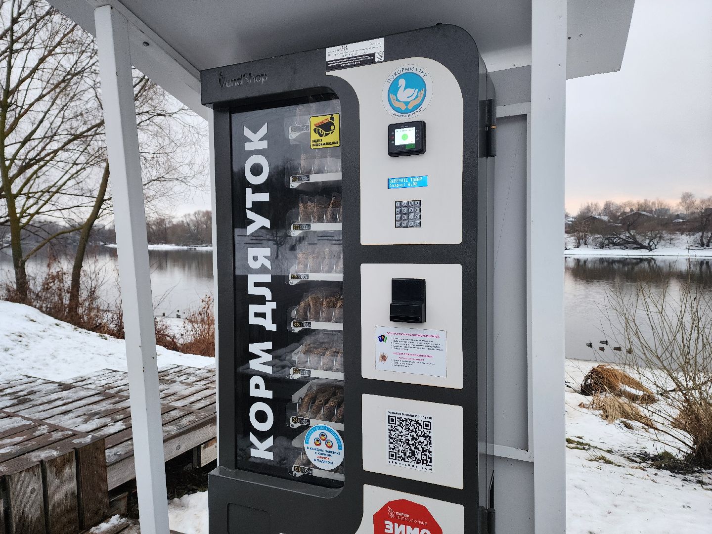 воскресенск, парк кривякино, утки,