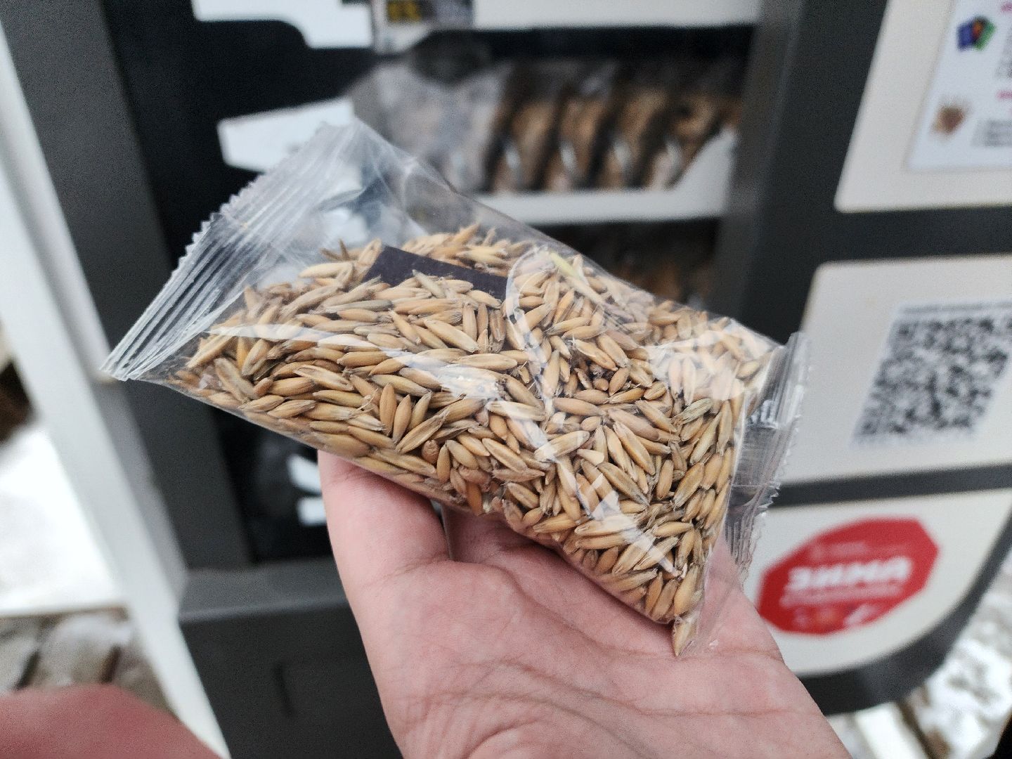 воскресенск, парк кривякино, утки,